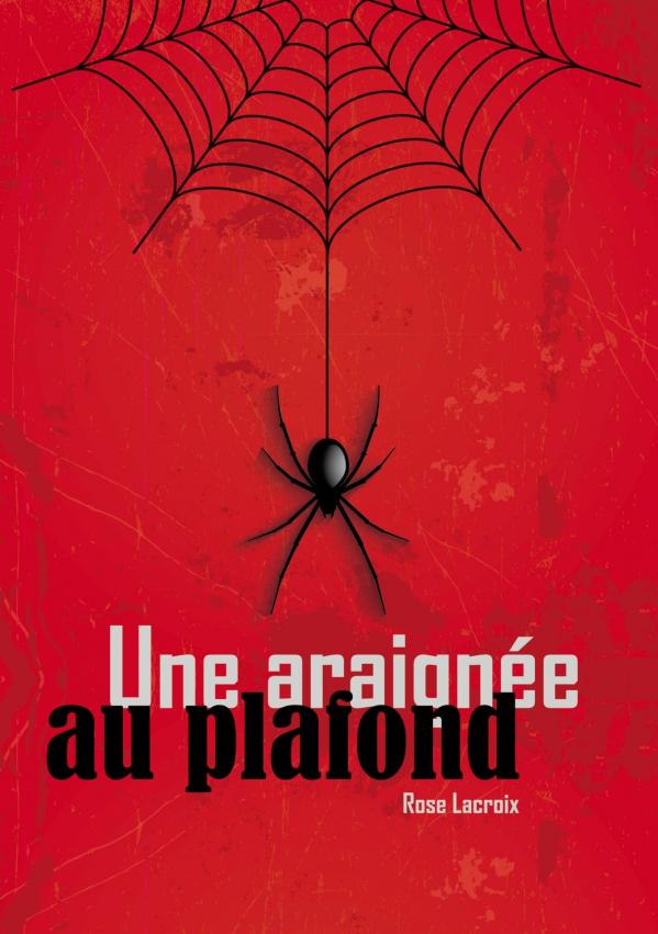 Araignee couv 5f59667845bfb21b00a129edf0802137e8929b429baaf7c25c369c2e93a00f06