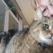 Lulu me soutient img 20210120 192800 2